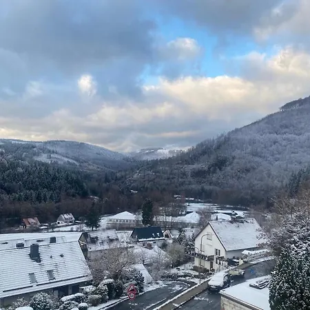Teufelsberg Panorama Mit Sauna Und Bergblick * Langelsheim